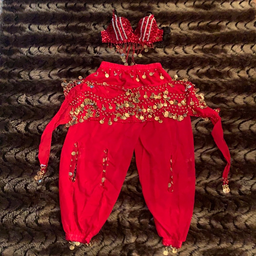 Belly dancer costume